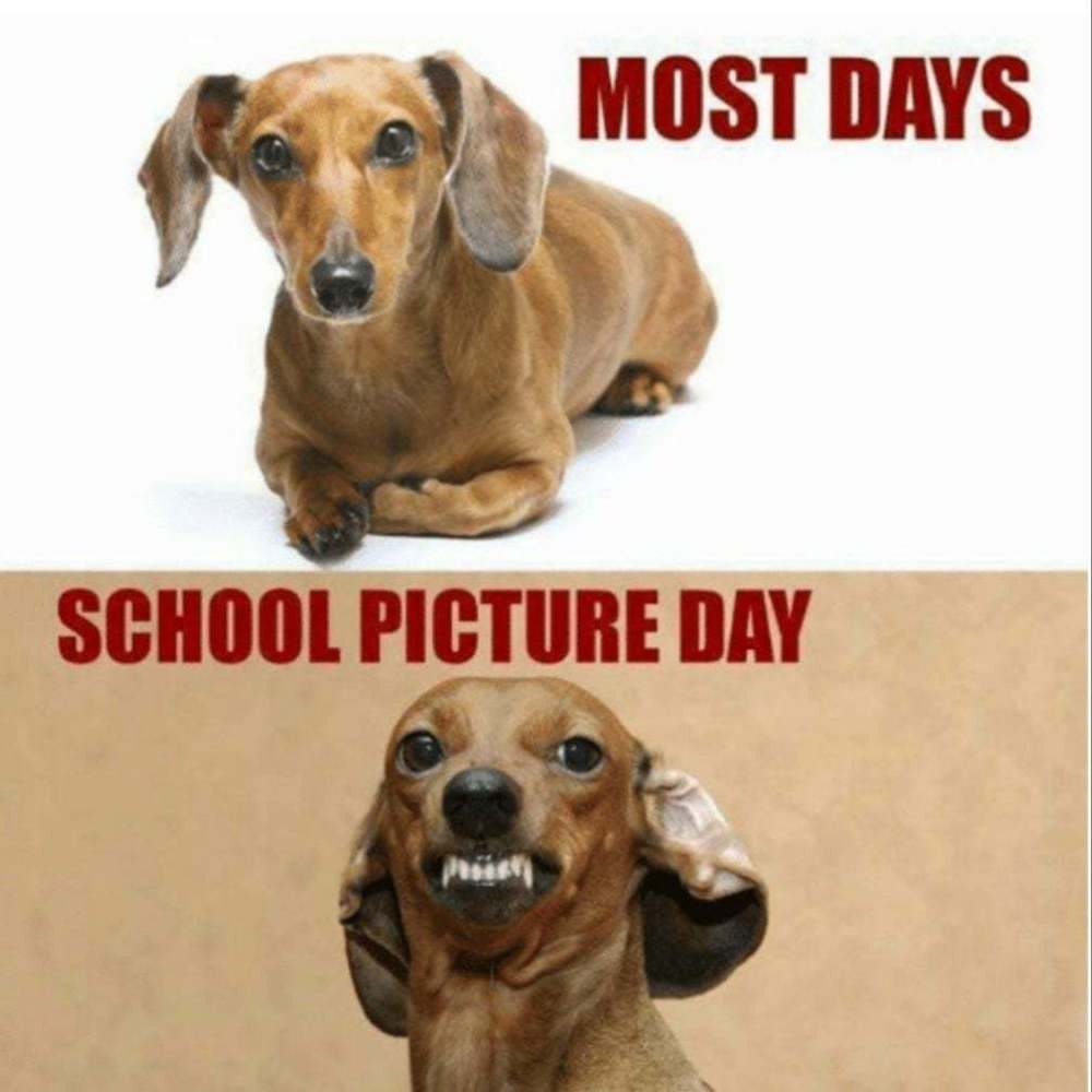 School Pictures | Sunrise High School